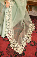 Picture of Star Gazer