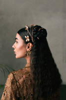 Picture of Mystic Pine