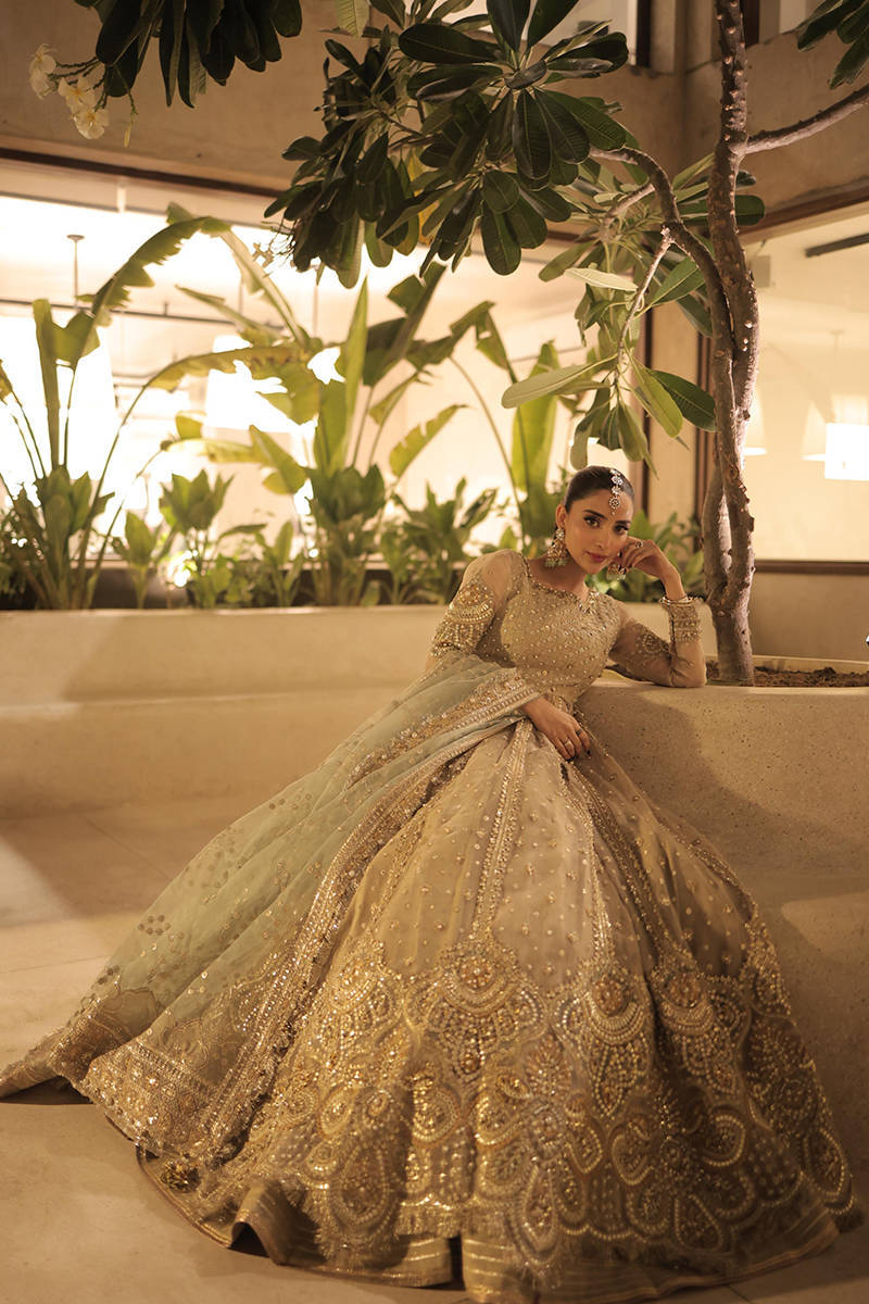 Picture of Saboor Aly in Shabnami